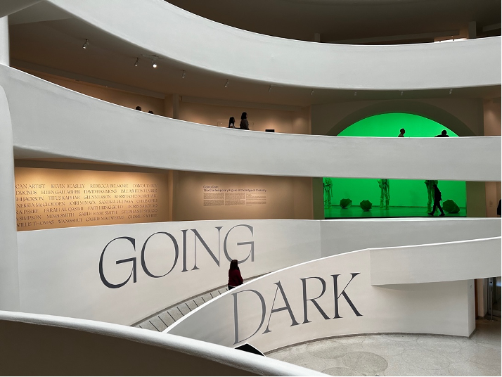 'Going Dark' at the Guggenheim: Recurring Images Reflect Black ...